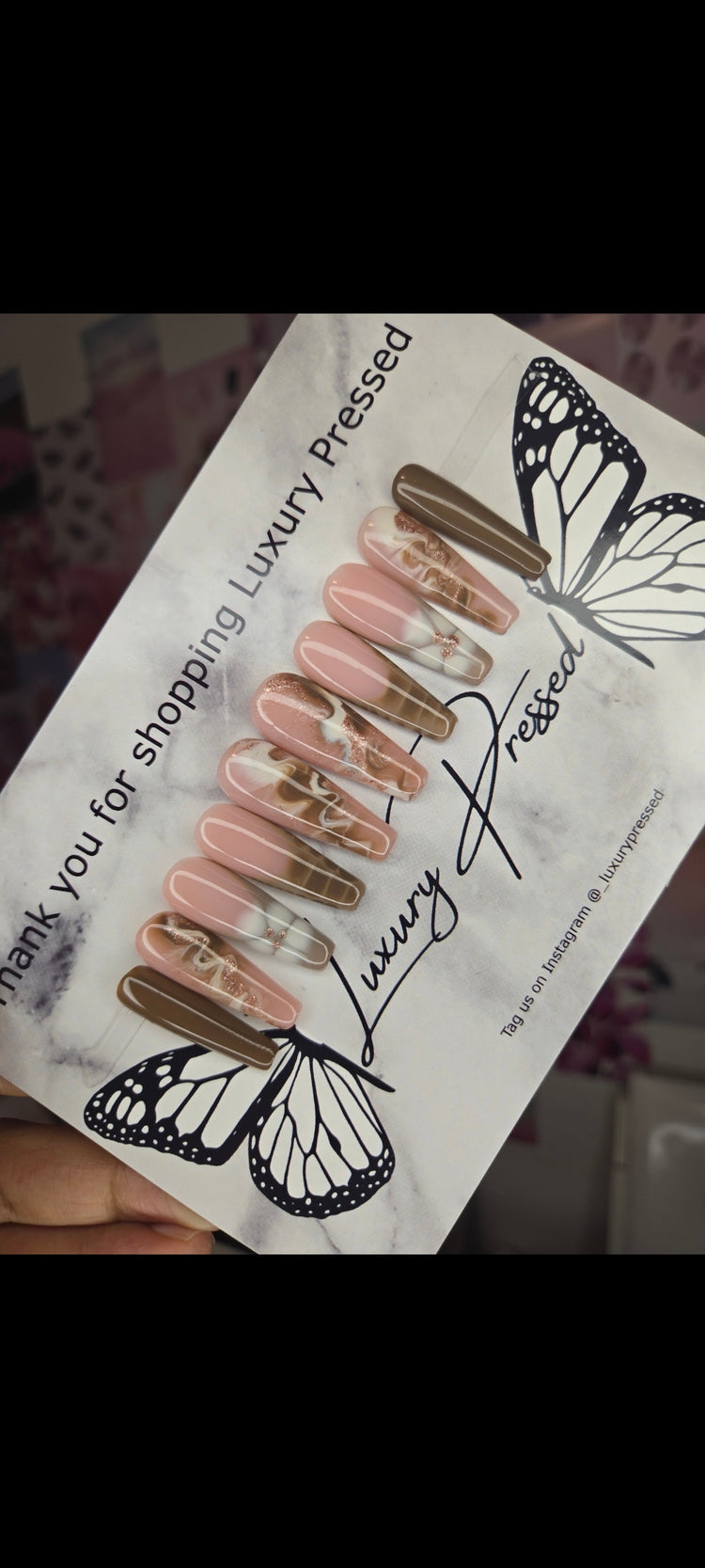 Fall Favourites  🍂 🍁