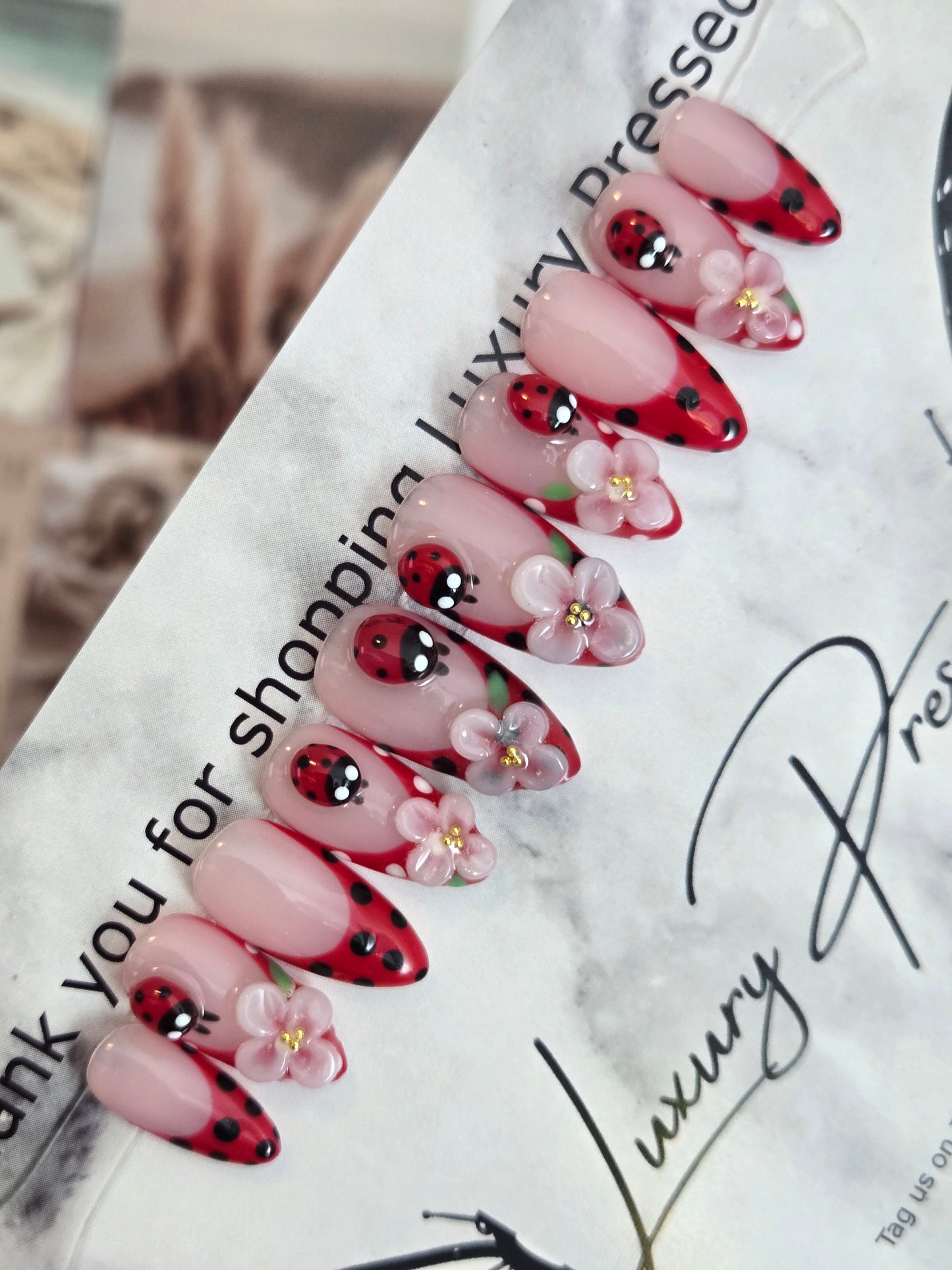 Ladybug