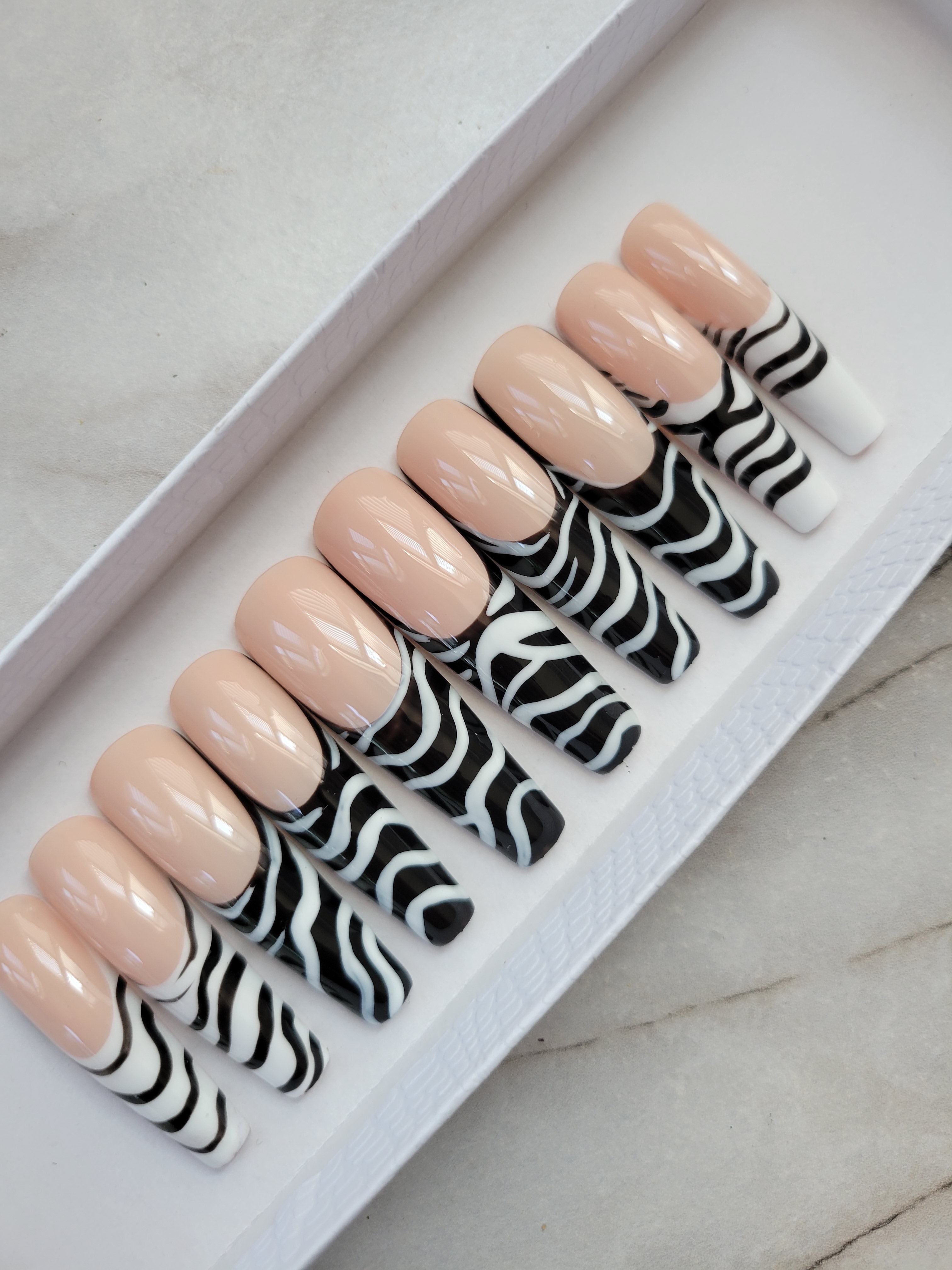 Zebra bae