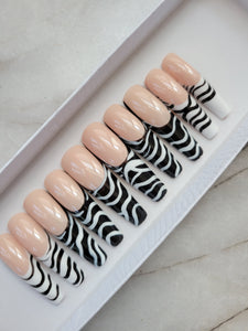 Zebra bae